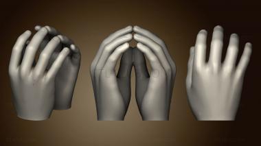 3D model Cat Hands (STL)